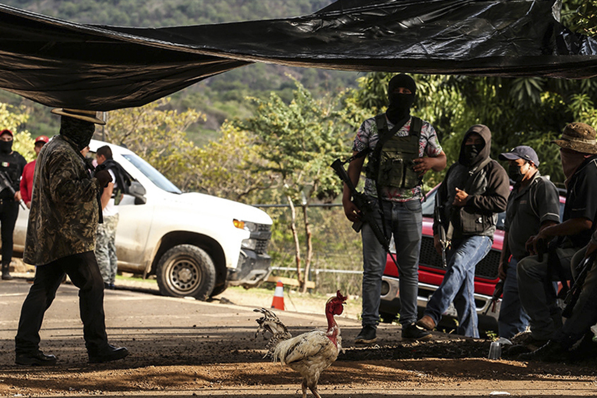 Aguacateros de Michoacán toman armas contra cárteles; "si no luchamos juntos, nos matan"