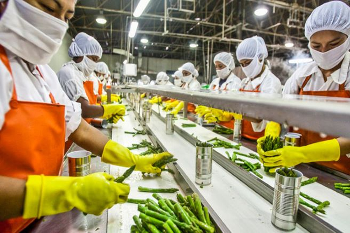 Industria alimentaria generó 47 mil 583 mdp en el valor de la producción en Querétaro