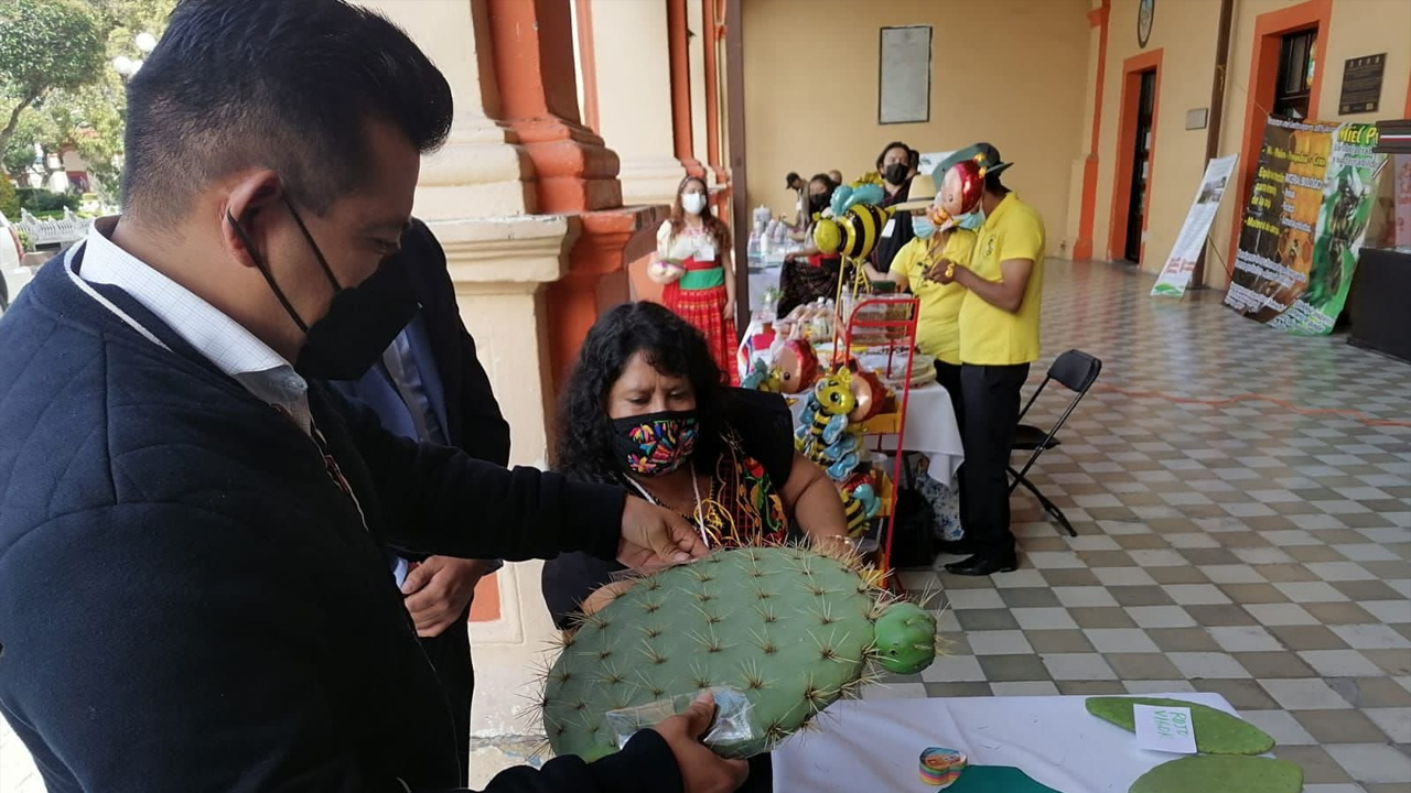 Asiste Carlos Augusto Pérez al festival del nopal en Calpulalpan