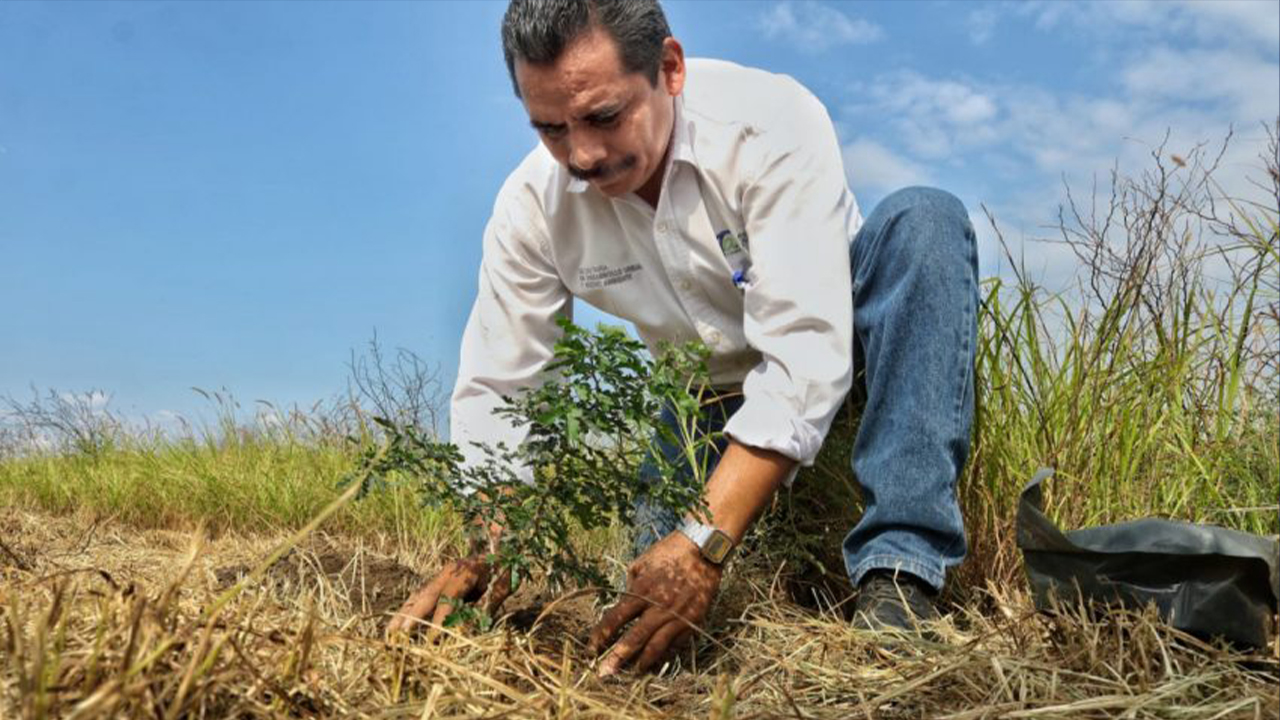 Impulsa Gobierno de Tamaulipas reforestación y preservación de parques estatales