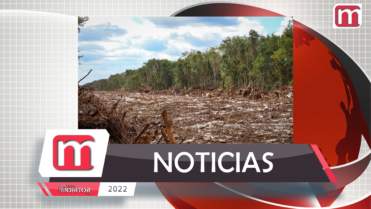 Detienen el llamado "tren maya" DE MANERA DEFINITIVA de Izamal a Palenque (tramos 1, 2 y 3) por los daños que está causado al medio ambiente