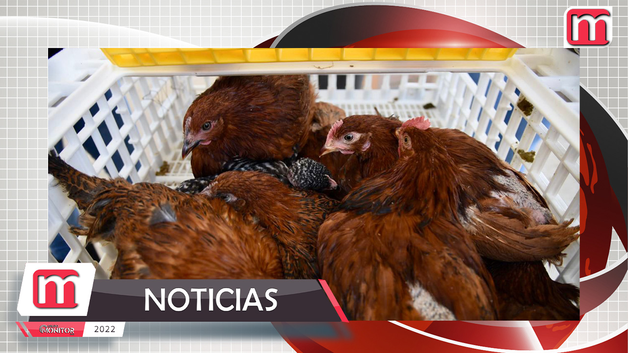 Beneficiará Ayuntamiento de Tlaxcala a familias capitalinas con paquetes de especies menores
