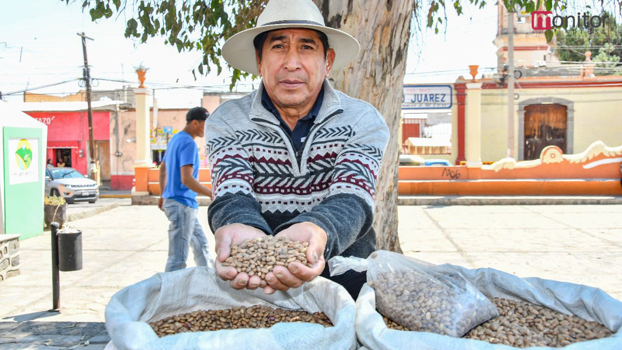 Invita ayuntamiento de Huamantla a productores a participar en el tianguis de semillas