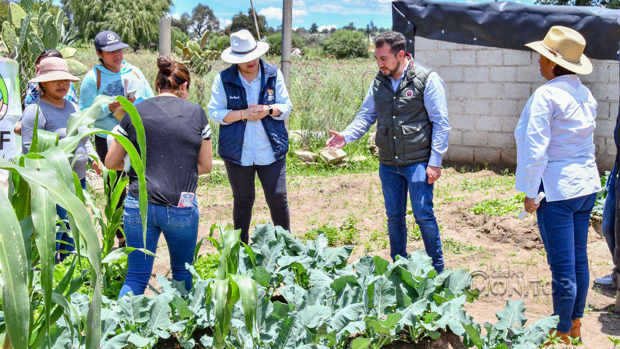 Invita SMDIF Huamantla al programa “salvando tu alimentación con hortalizas orgánicas”