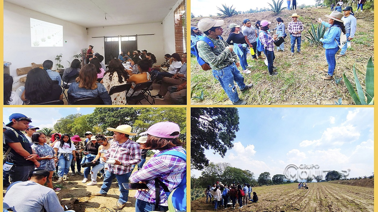 UATx y Universidad Chapingo fomentan conservación de suelos en la entidad