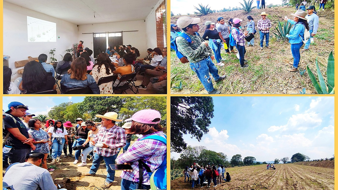 Universidad Chapingo y UATx fomentan conservación de suelos en la entidad