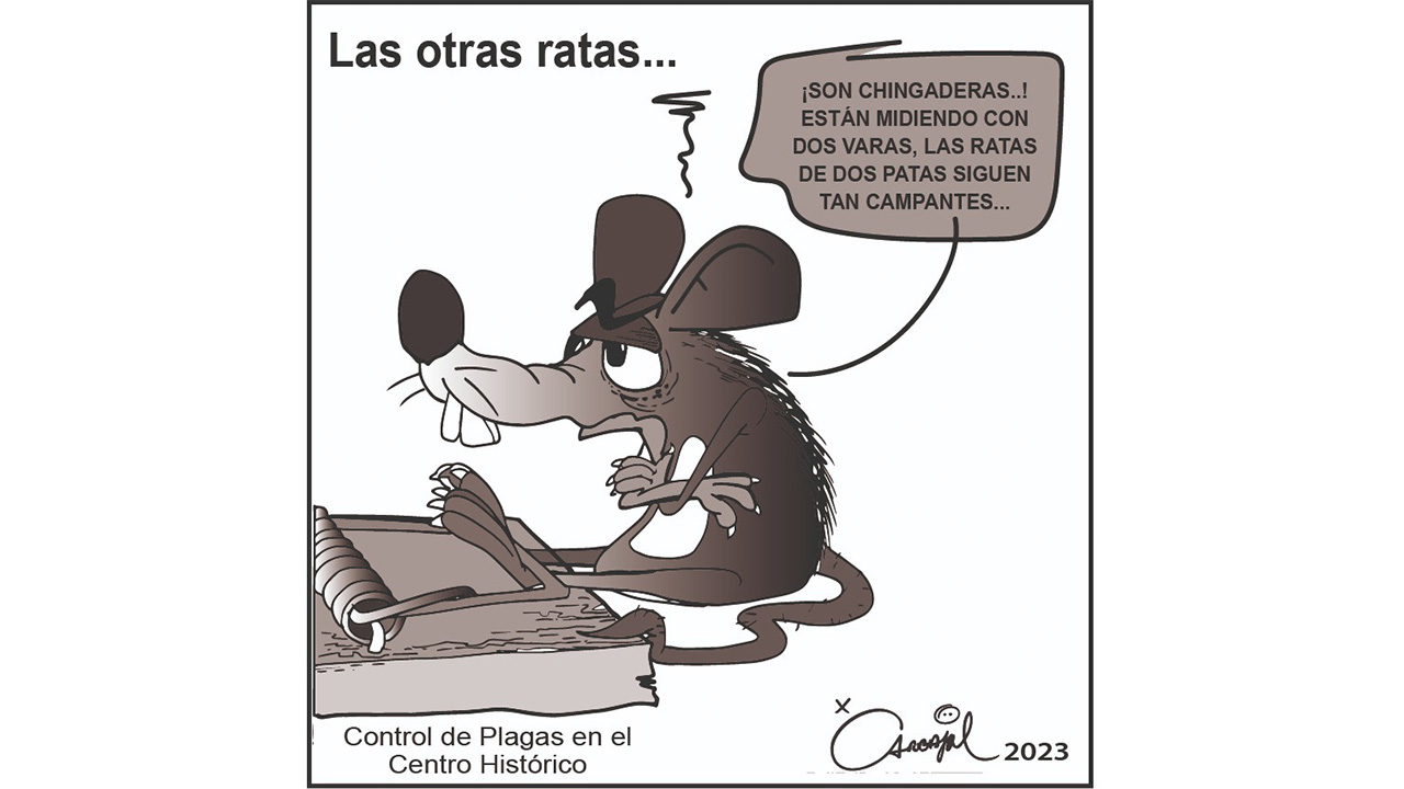 Las otras ratas...