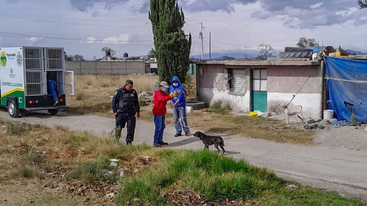Rescata la unidad de control canino de Huamantla a animales en condiciones de maltrato
