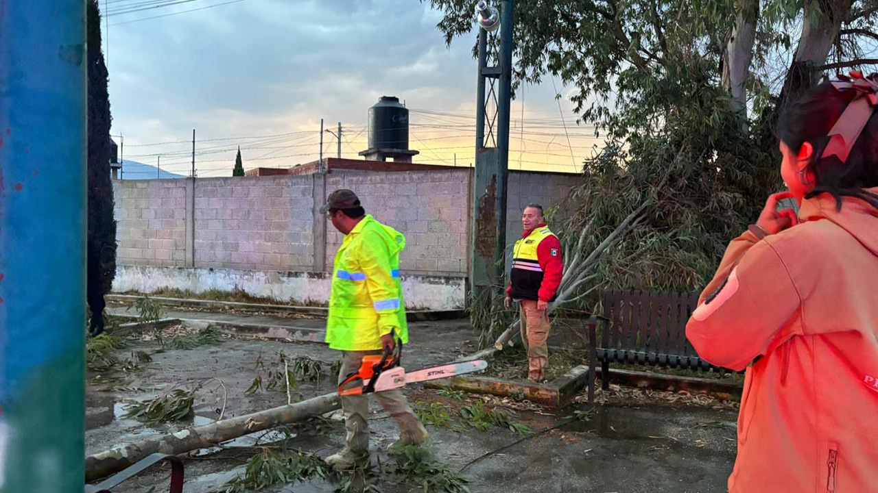 Atiende protección civil de Huamantla reporte por caída de rama de árbol por lluvias moderadas