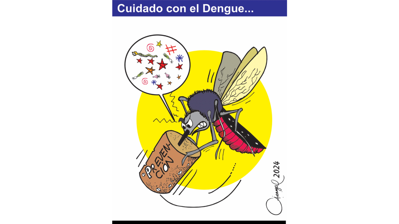 Cuidado con el dengue
