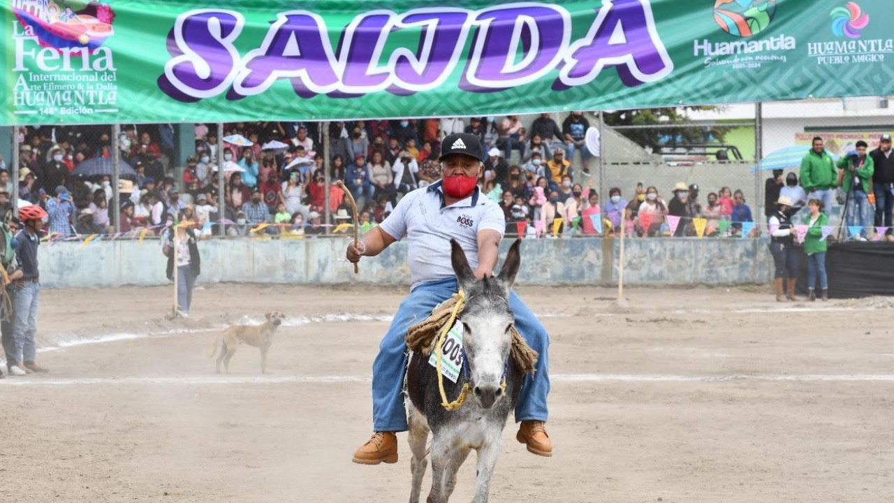 Inicia actividades de la feria de Huamantla 2024 con la gran carrera de burros