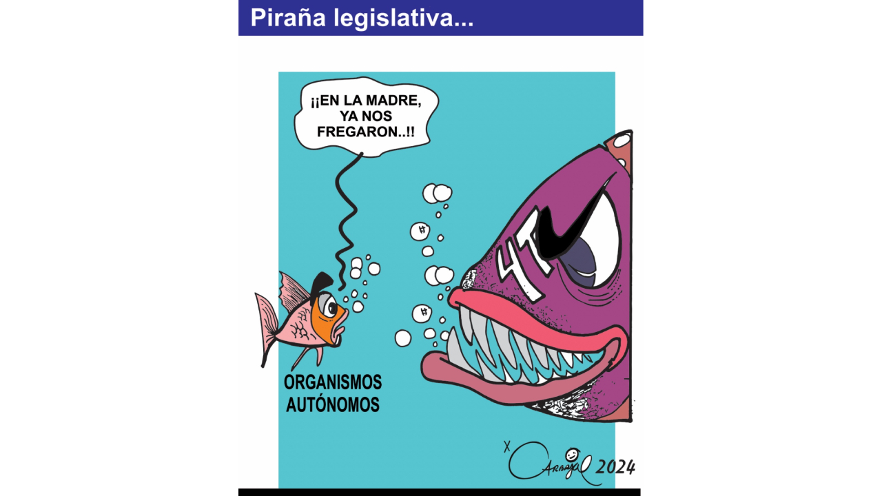 Piraña legislativa