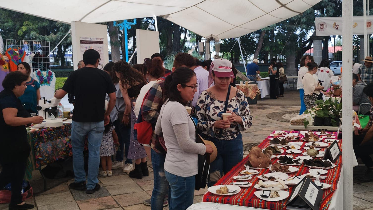 Rescata y difunde saberes ancestrales el “Festival Etnobiológico Tlaxcallan”