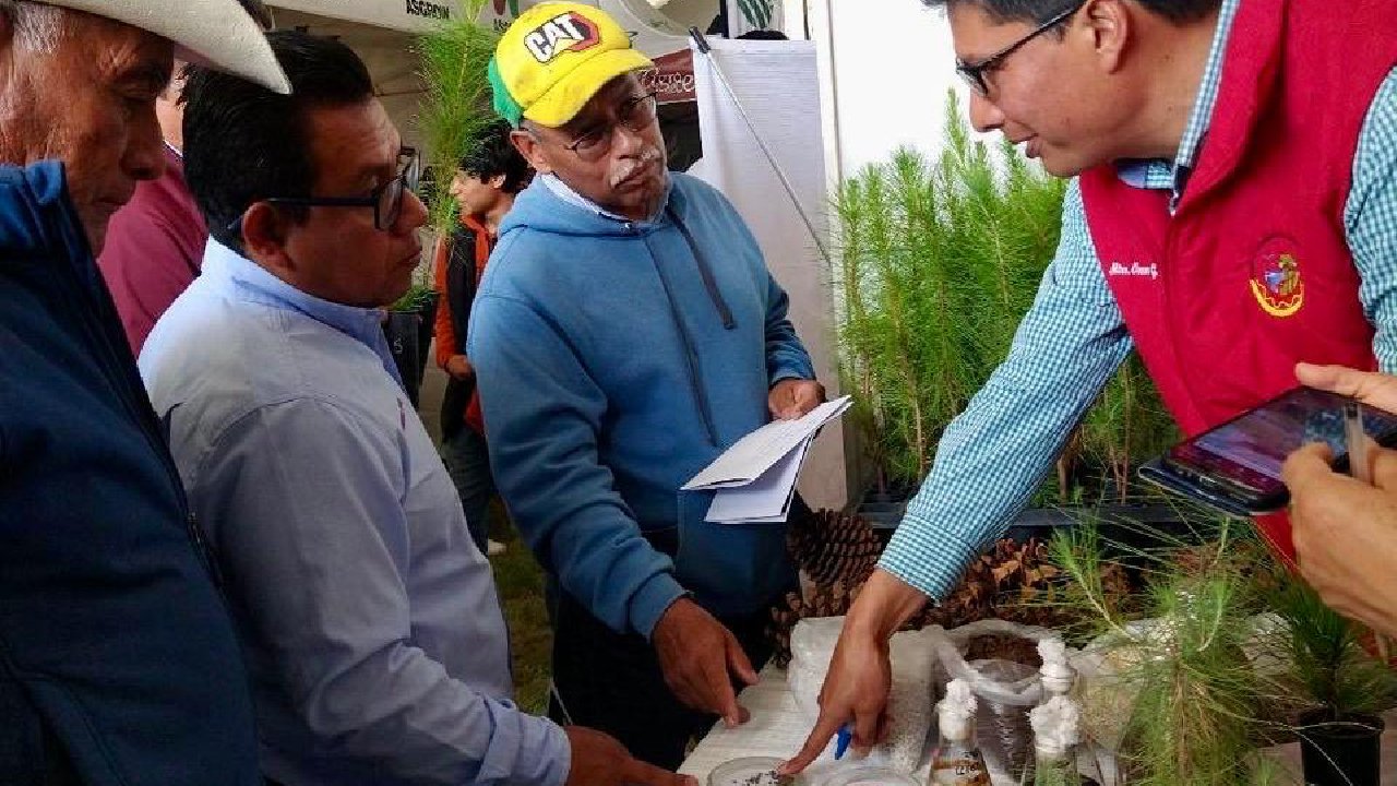 investigadores de la uatx contribuyen a la restauración de bosques de coníferas