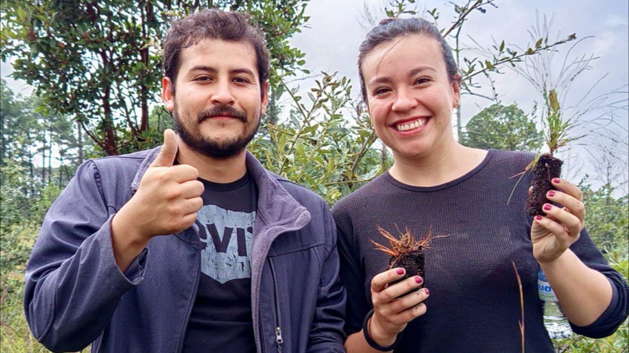 Plantación de árboles en Chiautempan, un compromiso del gobierno Blanca Angulo.