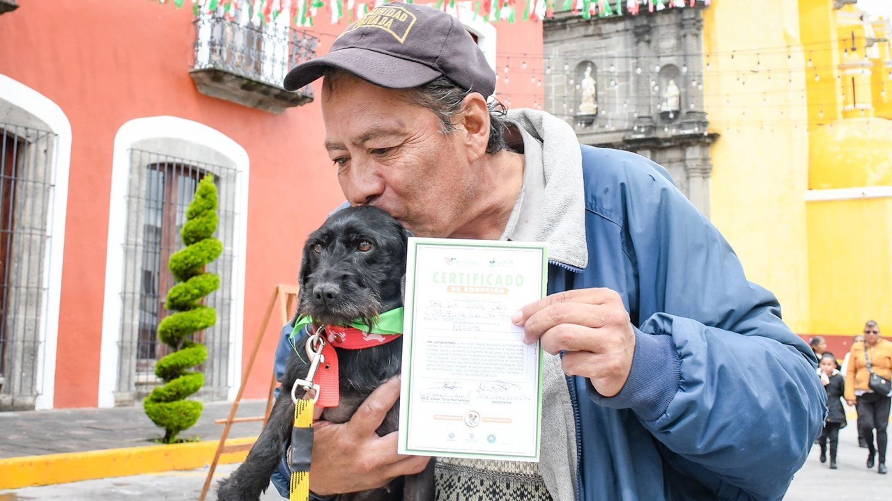 Feria de adopción canina en Huamantla dio a caninos una nueva vida