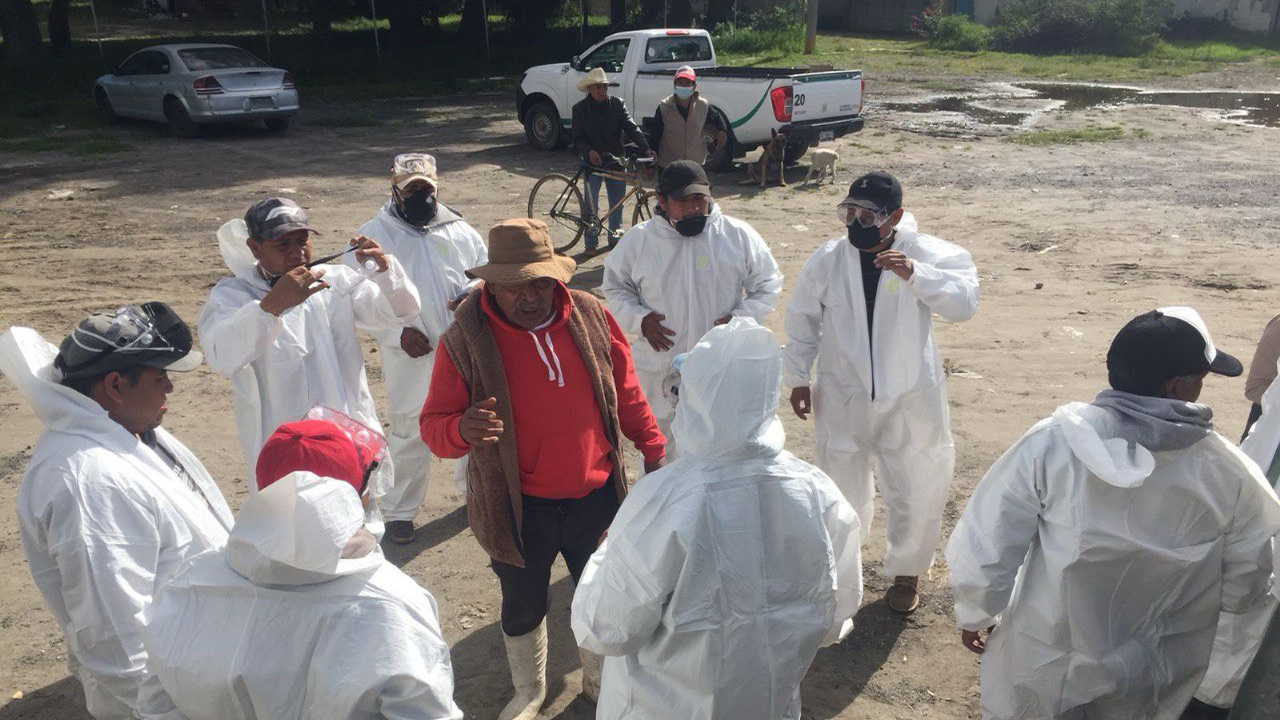 Gobierno municipal de Zacatelco realiza fumigación agroecológica contra la plaga del chapulín