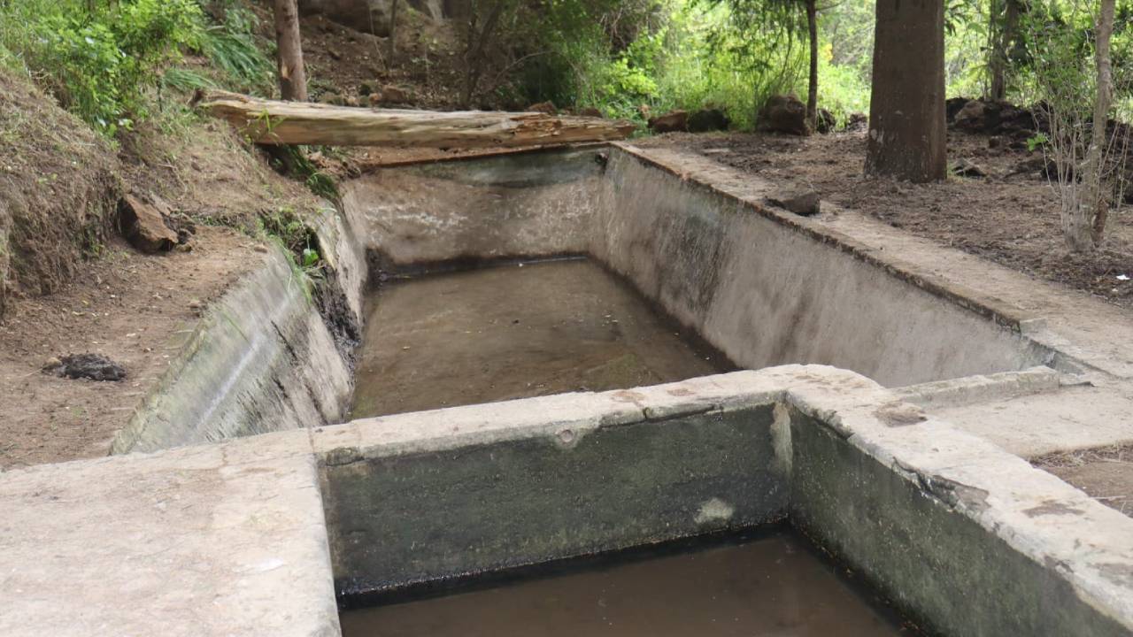 Dirección de servicios públicos pone en marcha rescate de áreas verdes y cuerpos de agua en la zona de Ocotelulco