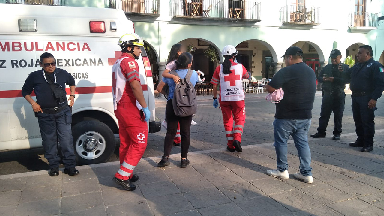 Posicionamiento del Ayuntamiento de Tlaxcala ante incidente con canes en el Zócalo capitalino