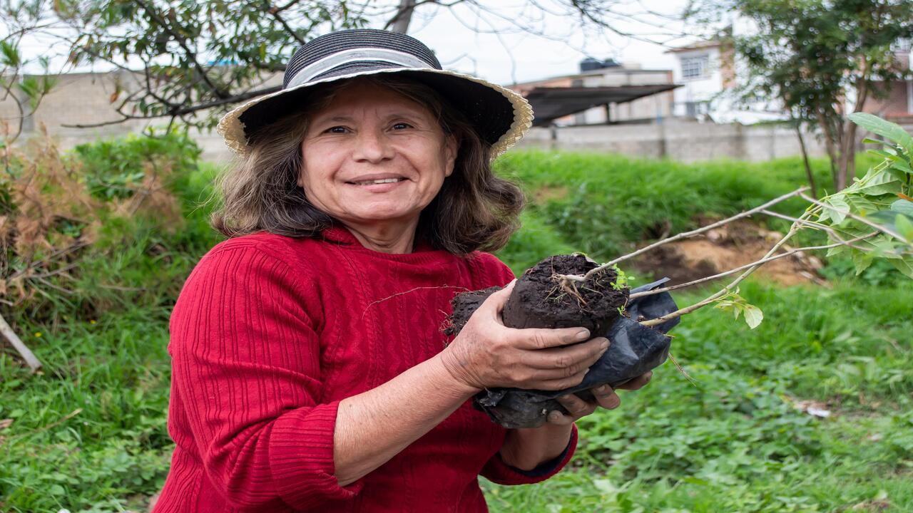 SMDIF Zacatelco encabeza campaña de reforestación y limpieza en las comunidades.