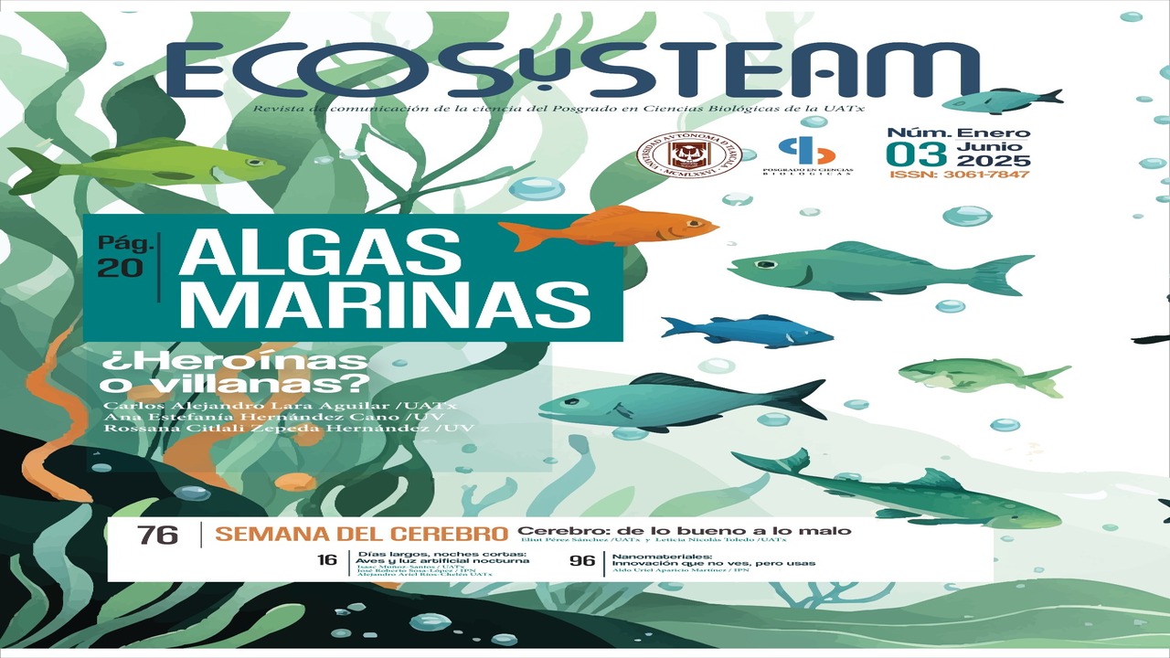 Publica CTBC-UATx nuevo ejemplar de 𝐄𝐂𝐎𝐒𝐲𝐒𝐓𝐄𝐀𝐌