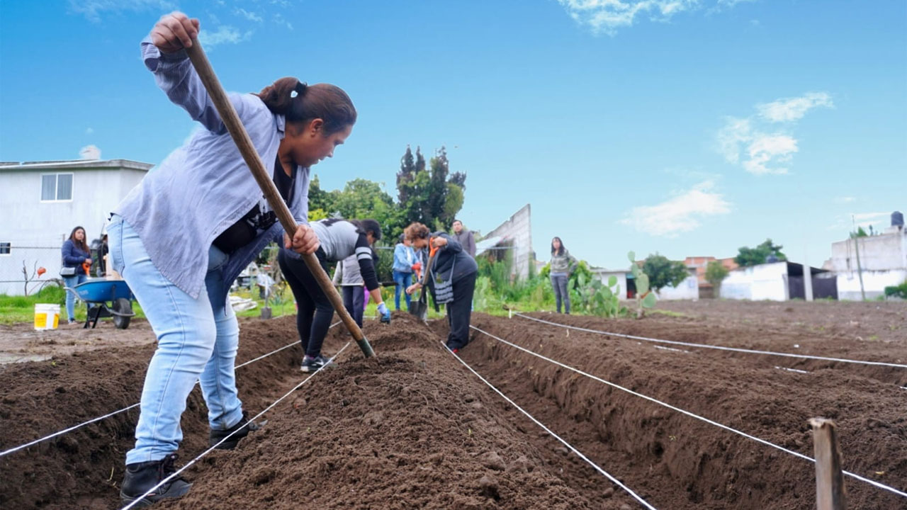 Inicia instalación del módulo de fresas en Zacatelco con apoyo de la Unidad de Gestión
