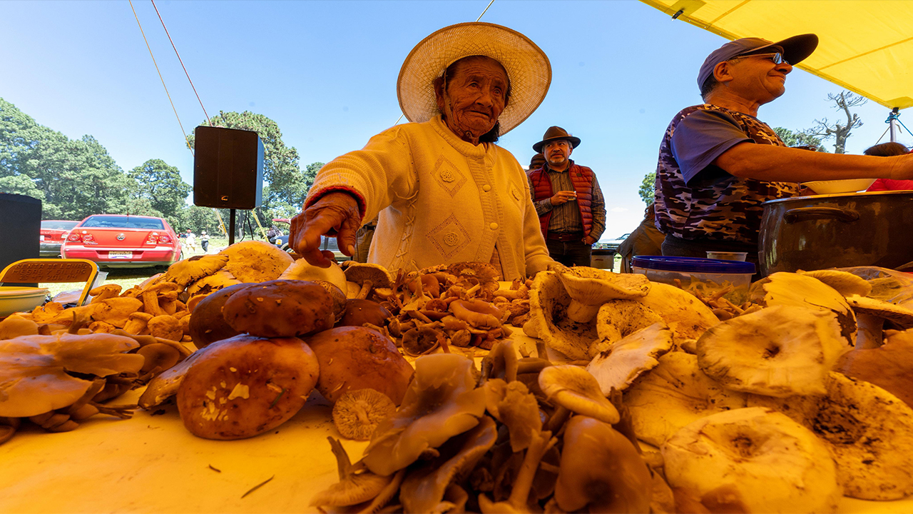 Con éxito se celebra la Tradicional Muestra Gastronómica del Hongo en Altamira de Guadalupe