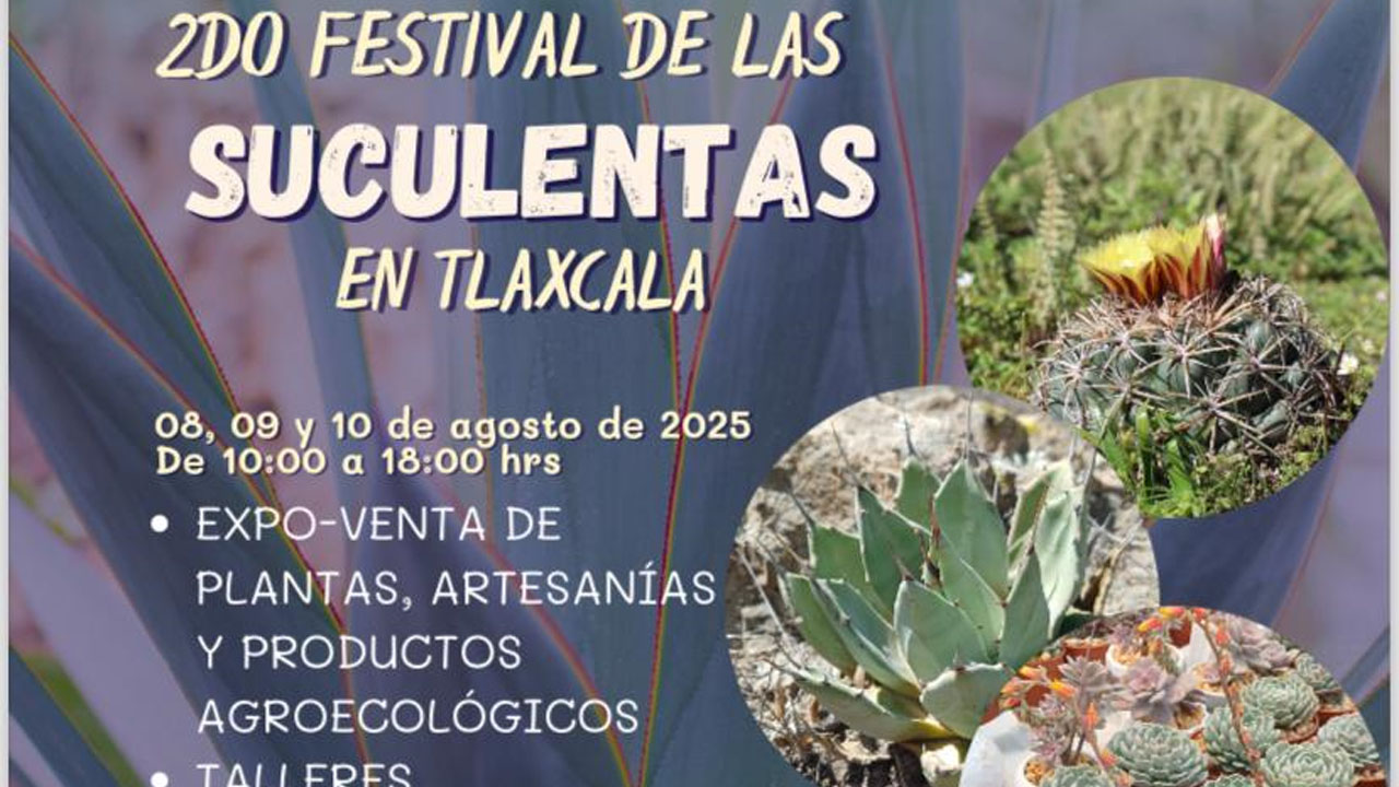 Invita el CICB-UATx al Segundo Festival de Suculentas