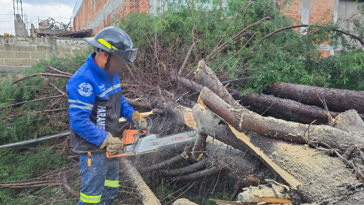 Responde ayuntamiento de Tlaxcala ante caída de árbol y afectaciones por fuerte lluvia