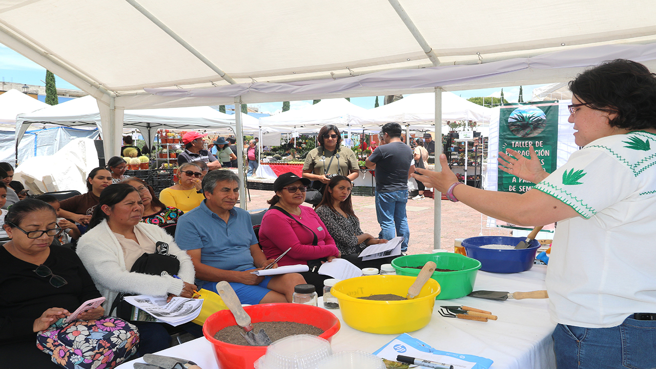 Inaugura CICB-UATx su “Segundo Festival de las Suculentas en Tlaxcala”