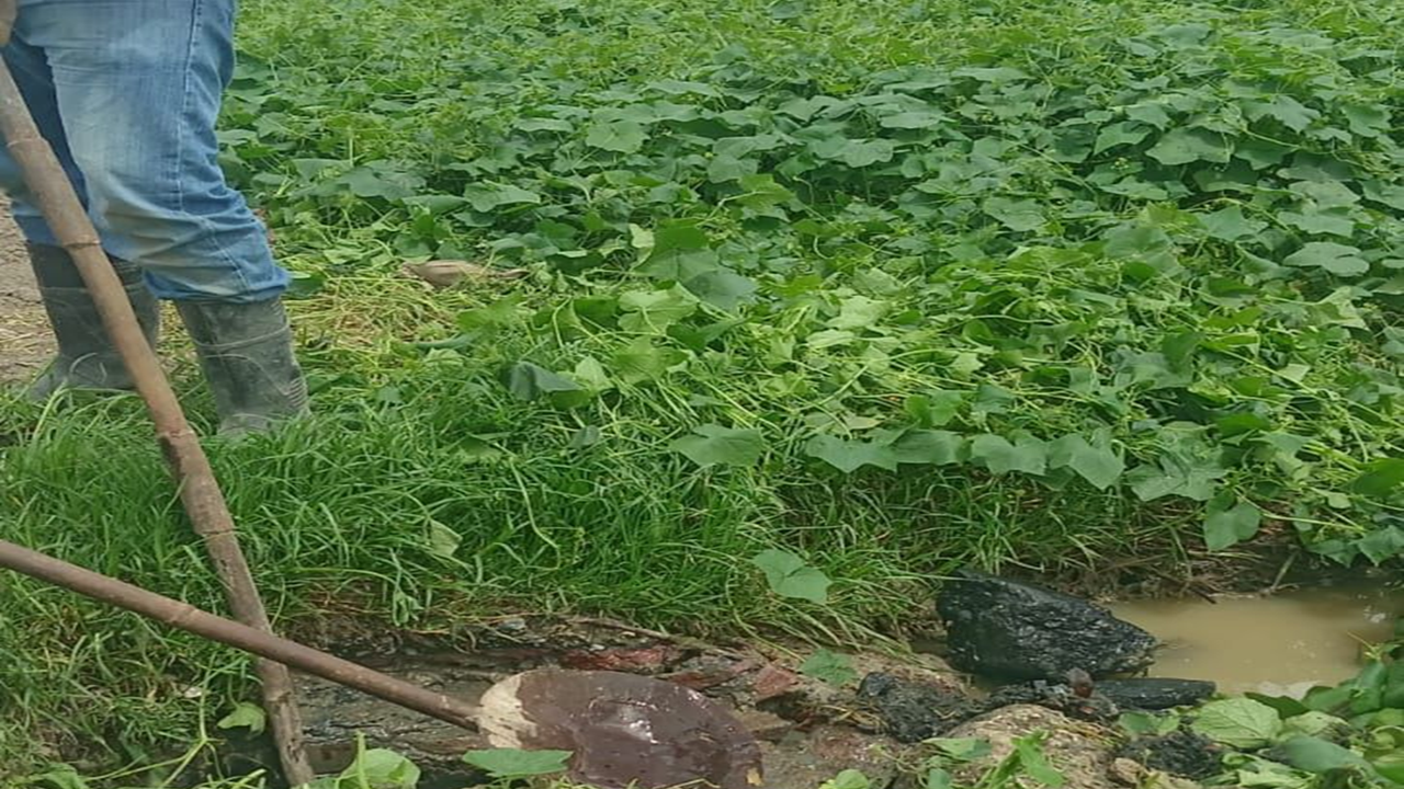 CAPAMH refuerza mantenimiento preventivo en el sistema de drenaje de Huamantla