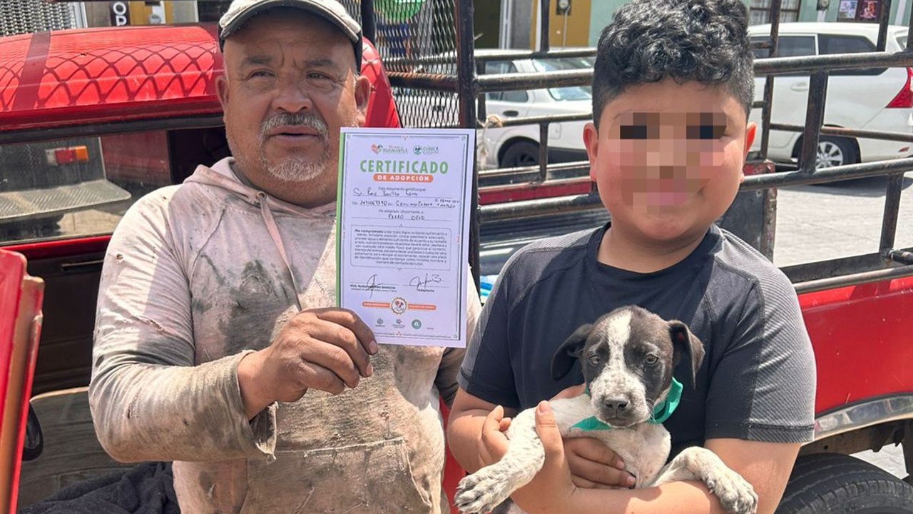 Con la Campaña "Adopta  un Amigo" 17 Mascotas Tienen un Nuevo Hogar en Huamantla