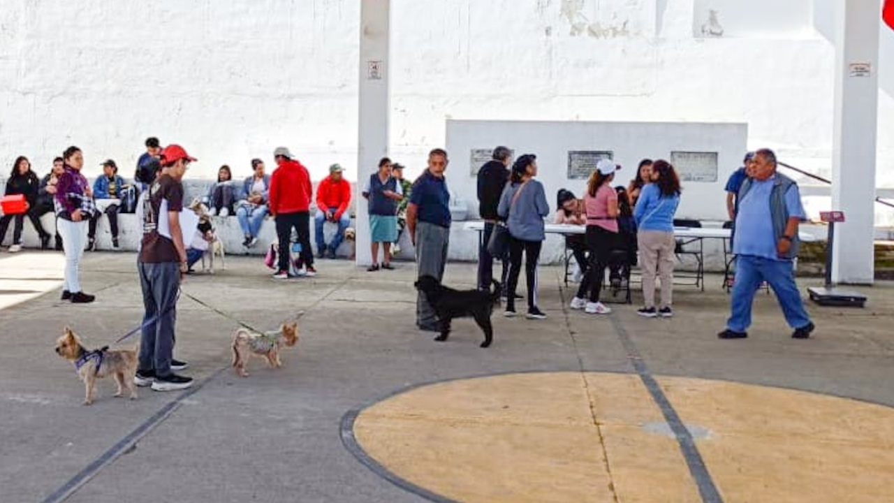 Gobierno de Alfonso Sánchez García fortalece la salud pública al sumarse a la jornada nacional de vacunación antirrábica 2025