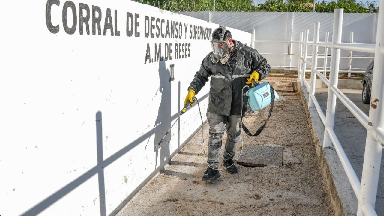 Ayuntamiento de Tlaxcala procura instalaciones saludables en el rastro municipal con fumigaciones