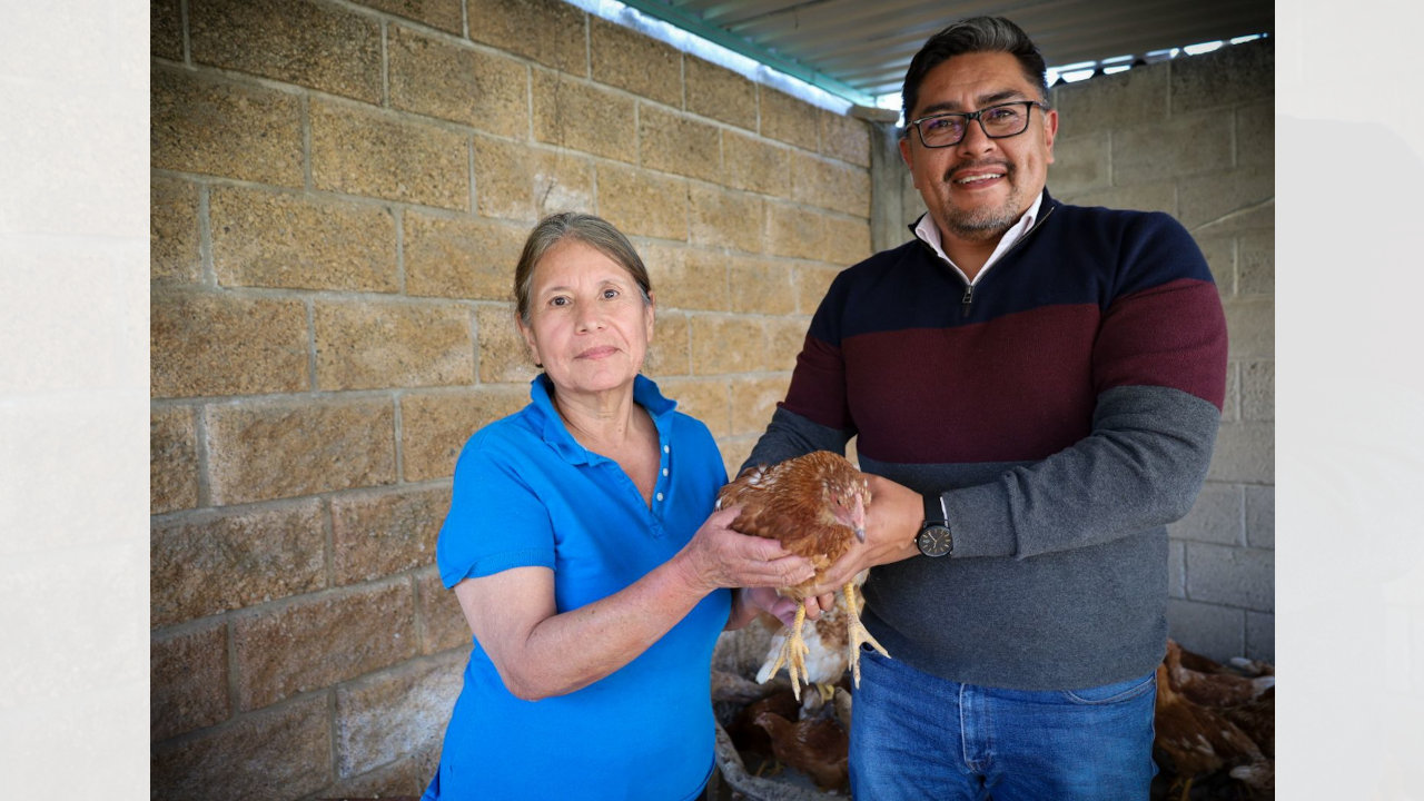 DIF Municipal de Zacatelco entrega gallinas de alta genética Isa Brown a bajo costo