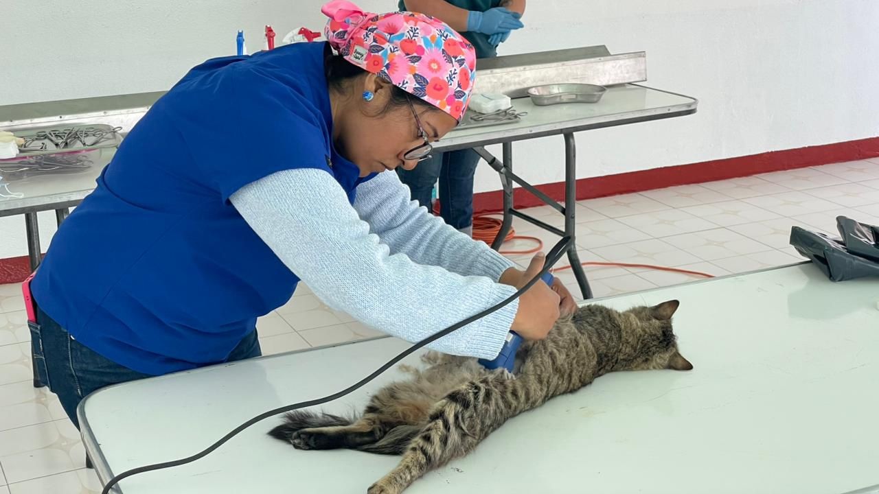 Concluye con Éxito la Jornada de Salud y Servicios en la Comunidad de Cuauhtémoc Este Martes