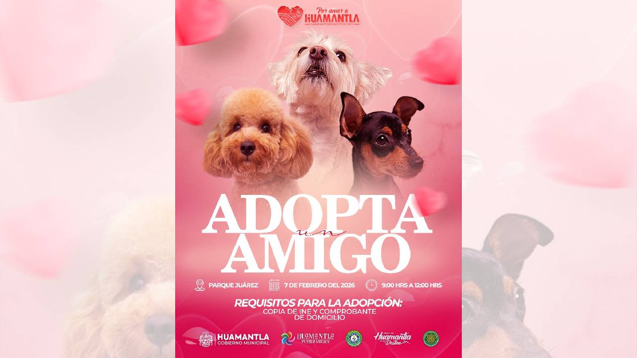 Invita Ayuntamiento de Huamantla a sumarse a la campaña de adopción canina y felina “Adopta un amigo”