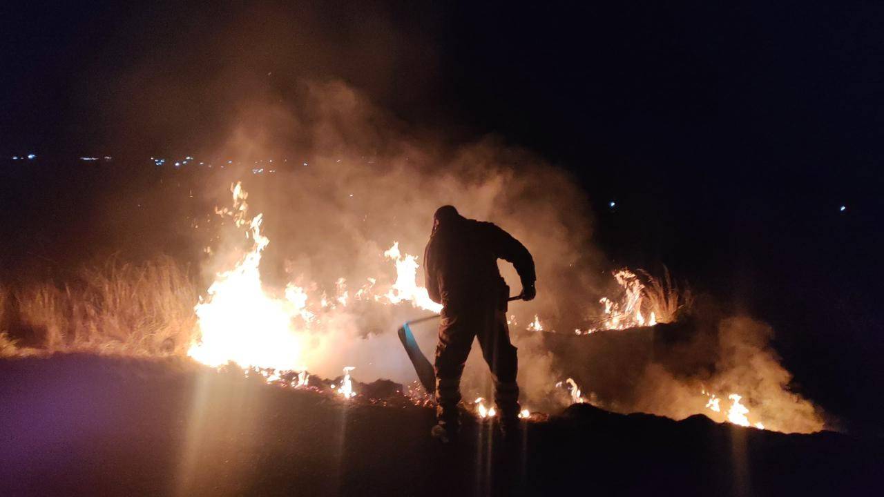 Sofocan Incendio de Pastizal en Carretera Benito Juárez–El Valle