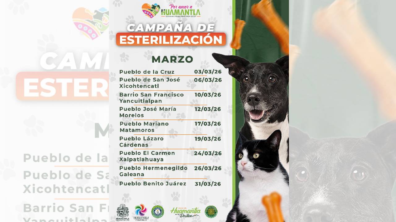 Gobierno Municipal de Huamantla Realizará Campaña de Esterilización de Perros y Gatos