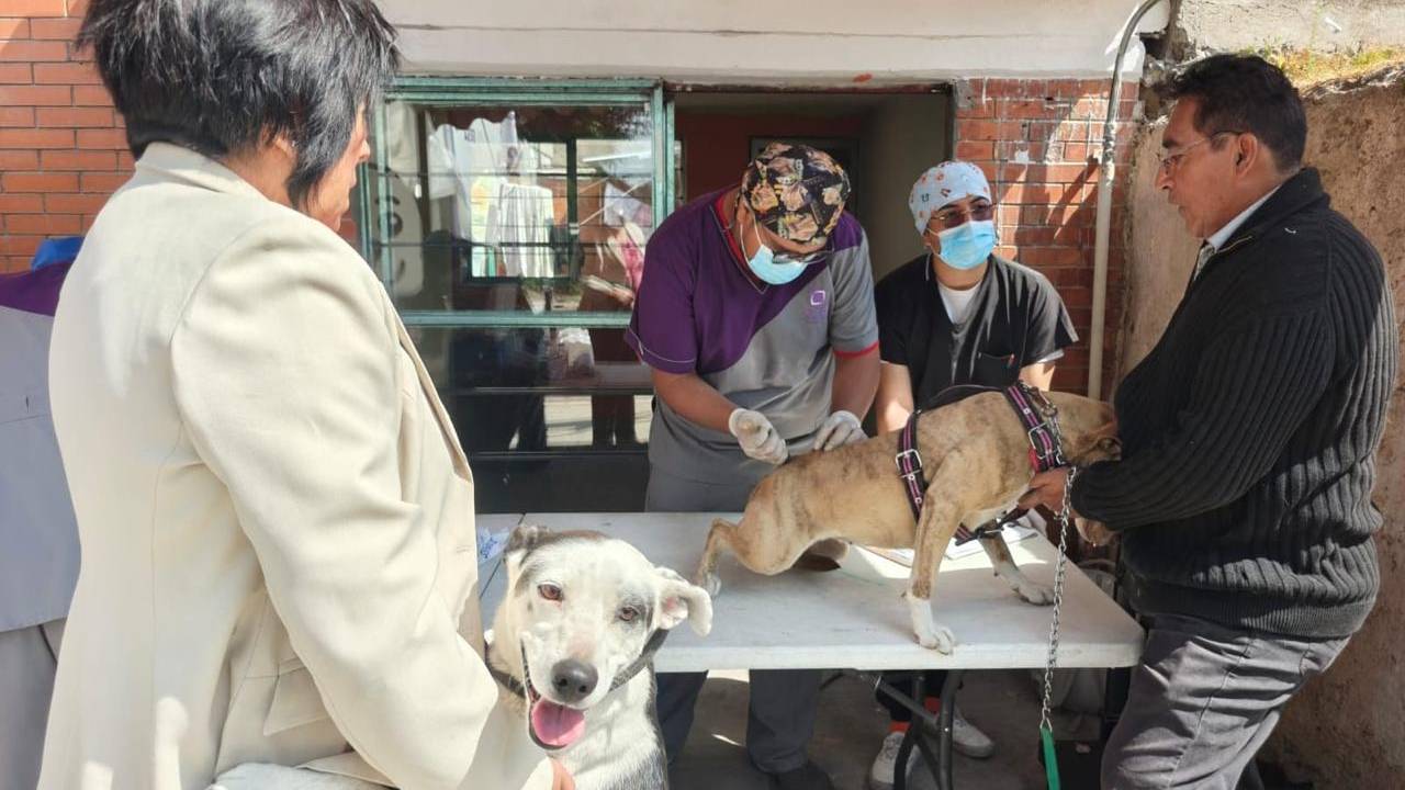 Amplía Ayuntamiento de Tlaxcala Jornada de Bienestar Animal y Llegará el 18 de Marzo a San Lucas Cuauhtelulpan