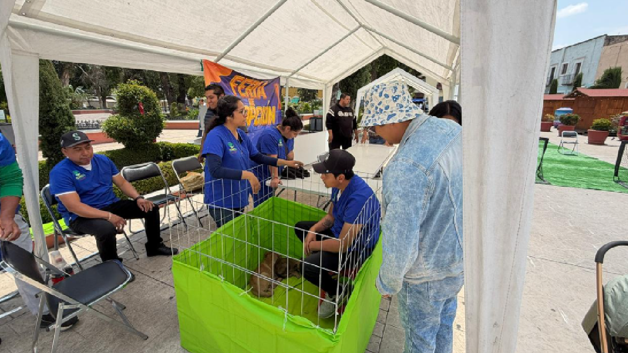 “Adopta un amigo” cambia historias y encuentra nuevos hogares para 12 perritos en Huamantla