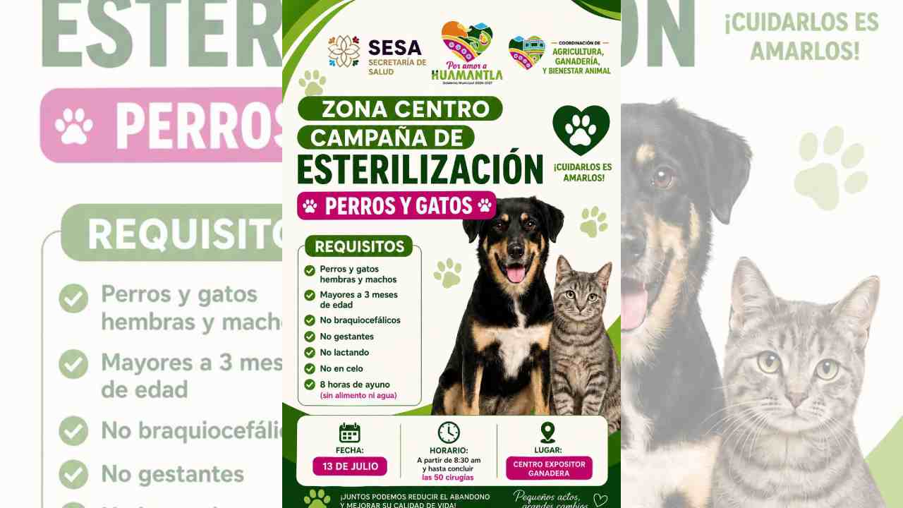 Gobierno de Huamantla invita a la Campaña de Esterilización para perros y gatos y promueve la tenencia responsable de animales de compañía