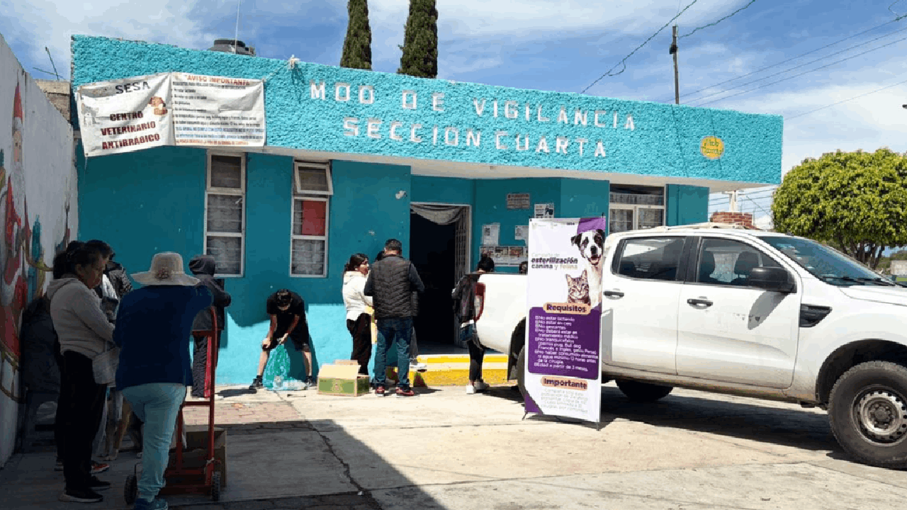 Inicia en Zacatelco la campaña gratuita de esterilización para perros y gatos