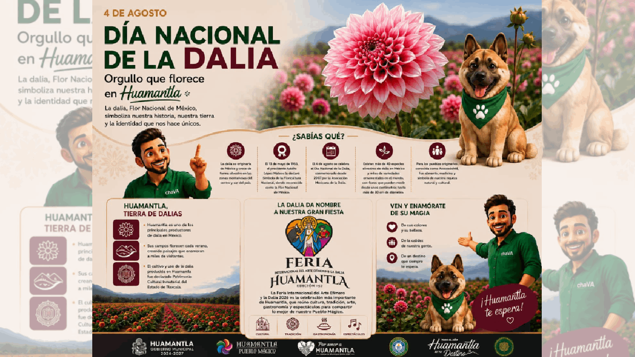 Huamantla florece con el orgullo de México en el Día Nacional de la Dalia