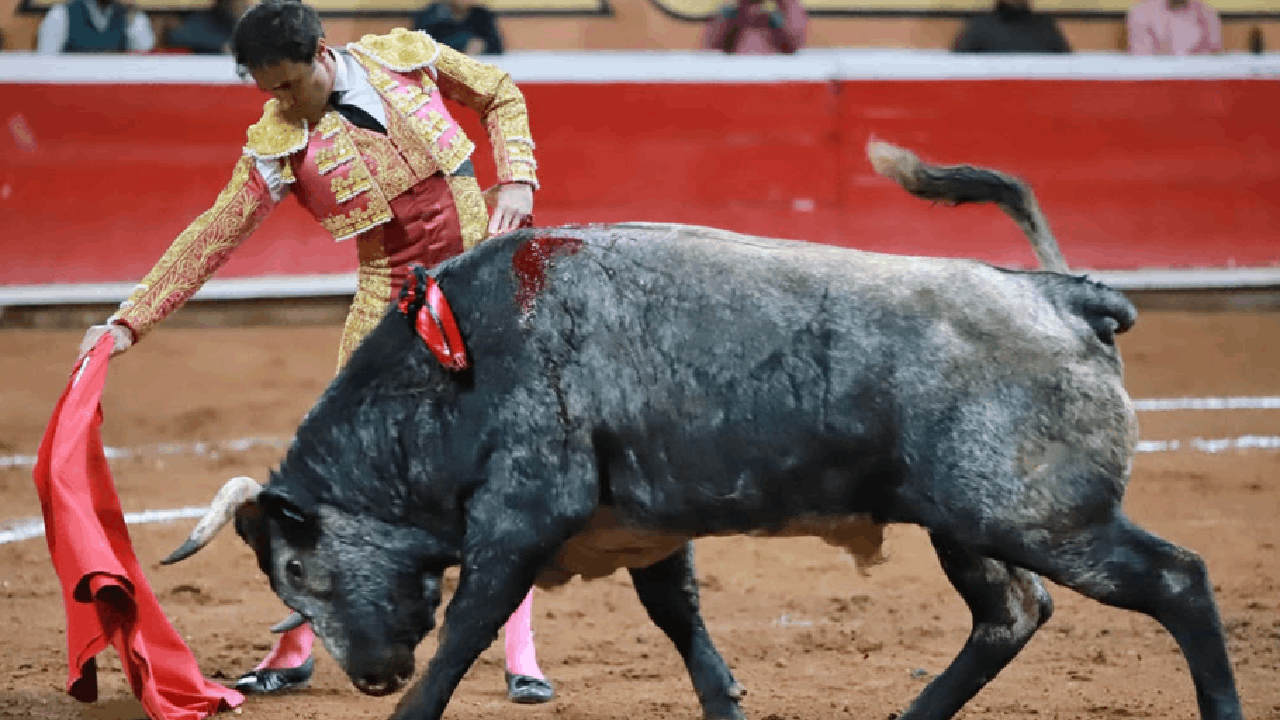 Sebastián Ibelles abre la puerta grande de Huamantla en la primera corrida de feria Huamantla, Tlaxcala.