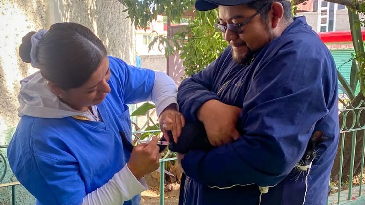 Zacatelco alcanza meta de 900 vacunas durante campaña antirrábica