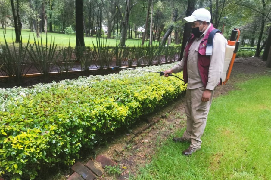 Realiza CGE acciones de mantenimiento y embellecimiento en el jardín botánico Tizatlán