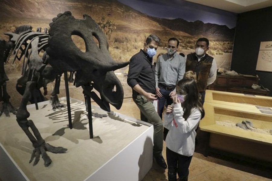 Inauguran exposición de dinosaurios robotizados en Museo del Desierto