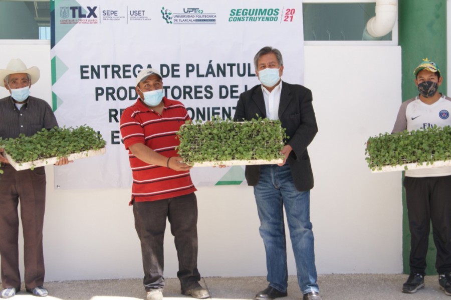 Entrega UPTREP cuatro mil plántulas de col verde y morada a productores de Hueyotlipan