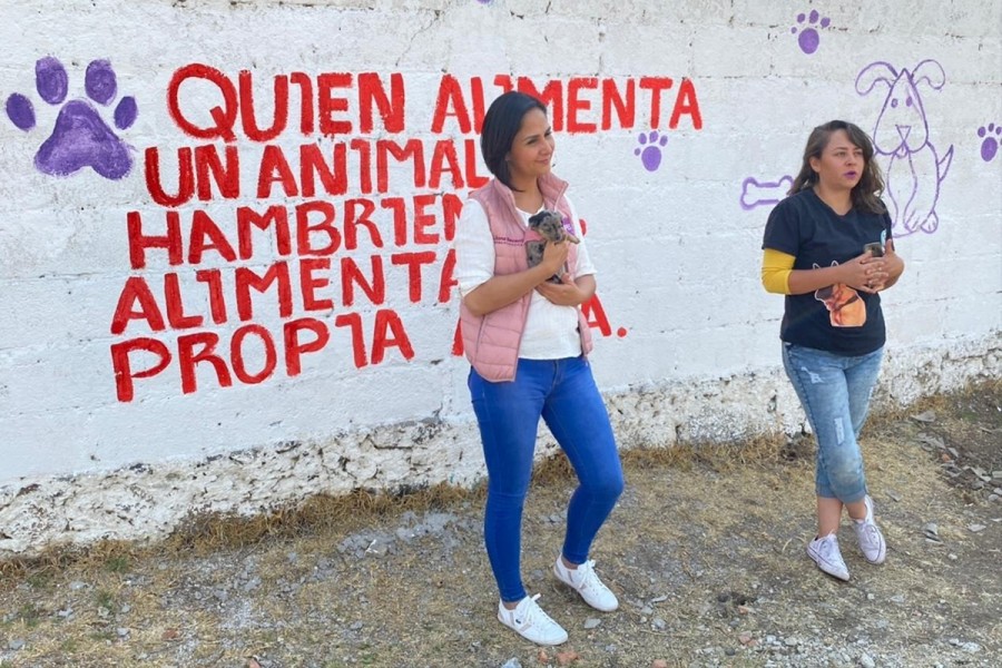 Liliana Becerril Rojas coincide con la Agenda de Bienestar Animal de “Colitas felices”